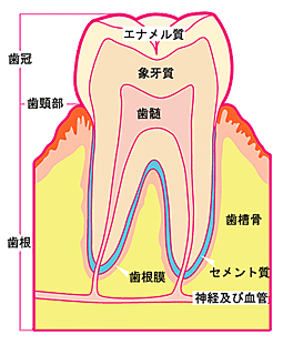 �G�i������ �ۉ县 ���� �_�o���̐}