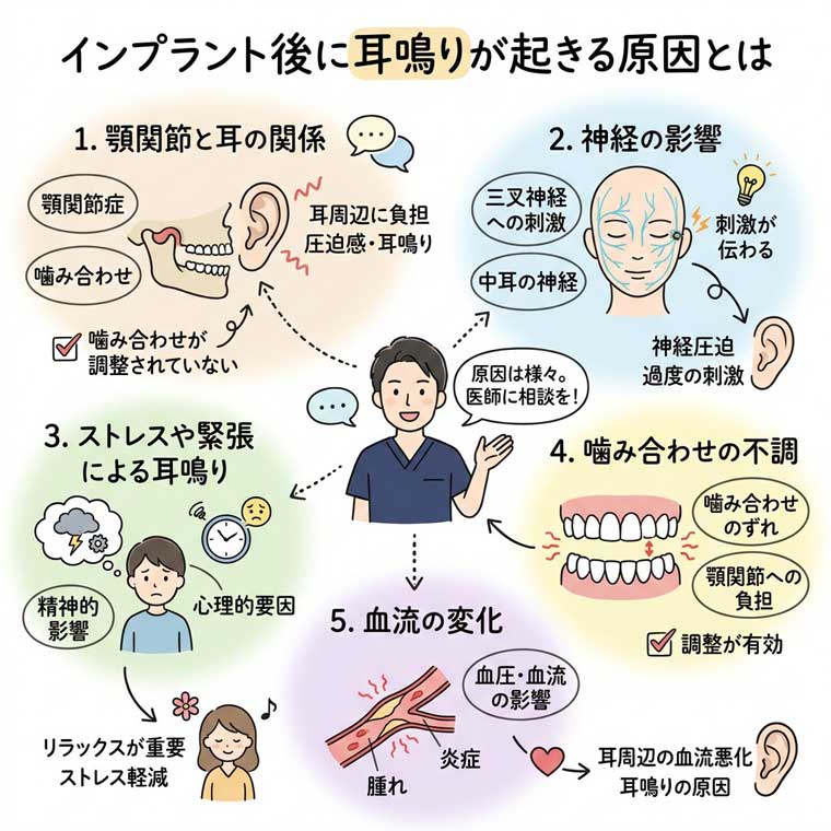 インプラント後に耳鳴りが起きる原因とはの図解