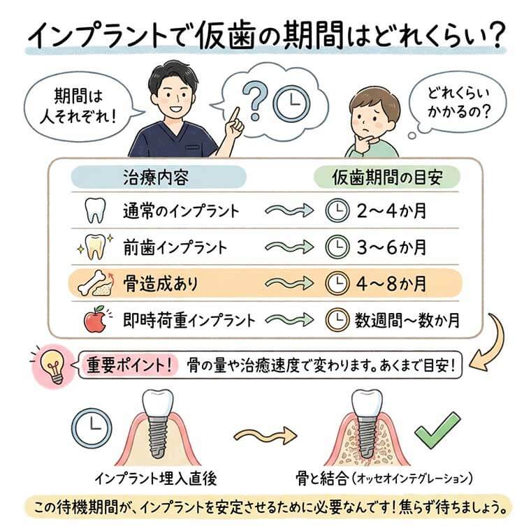 インプラントで仮歯の期間はどれくらい？の図解