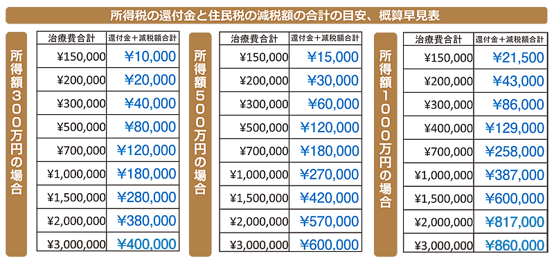 医療 費 控除 いくら から